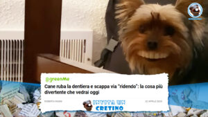 cane ruba dentiera scappa ridendo