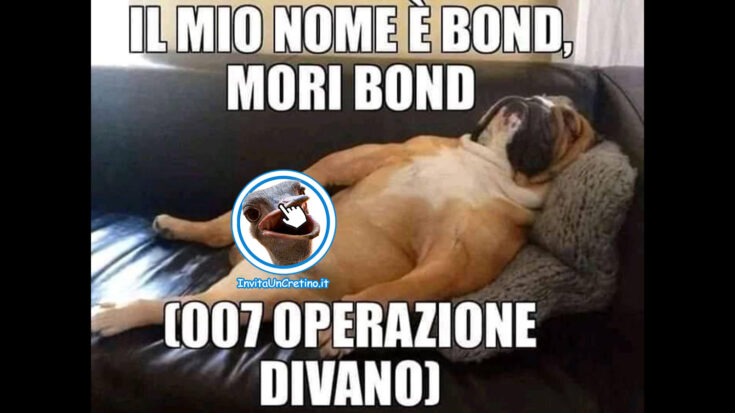 cane divertente moribond