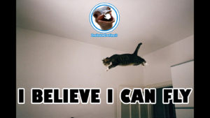 gatto che vola divertente i believe i can fly