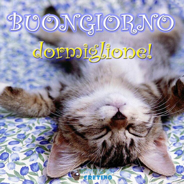 buongiorno dormiglione