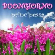 buongiorno principessa immagine da scaricare
