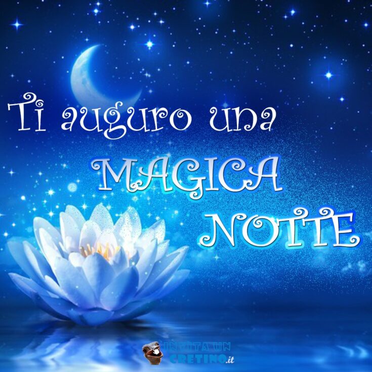 immagine buonanotte ti auguro una magica notte