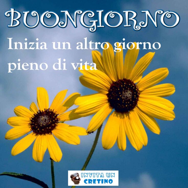 buongiorno con immagine del girasole e cielo terso - inizia un altro giorno pieno di vita