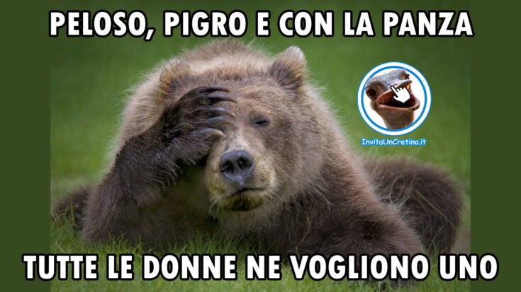 foto divertenti orso uomo donne peloso pigro panza