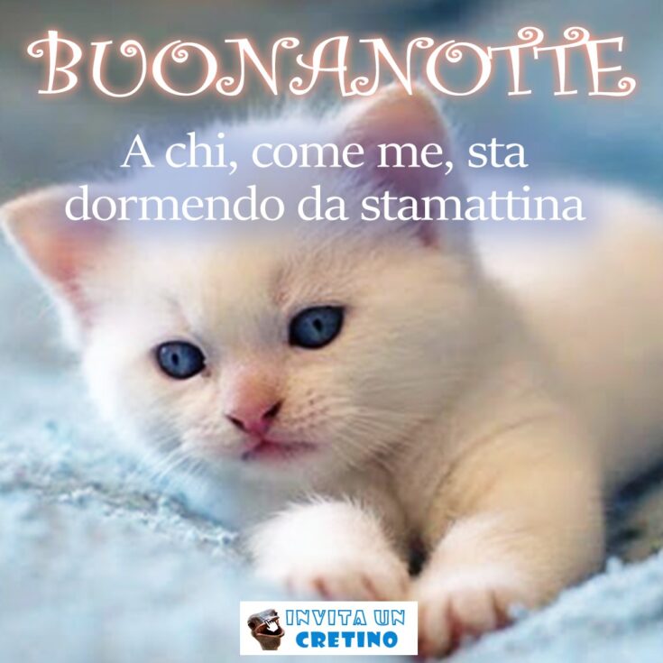 buonanotte a chi come me sta dormendo da stamattina