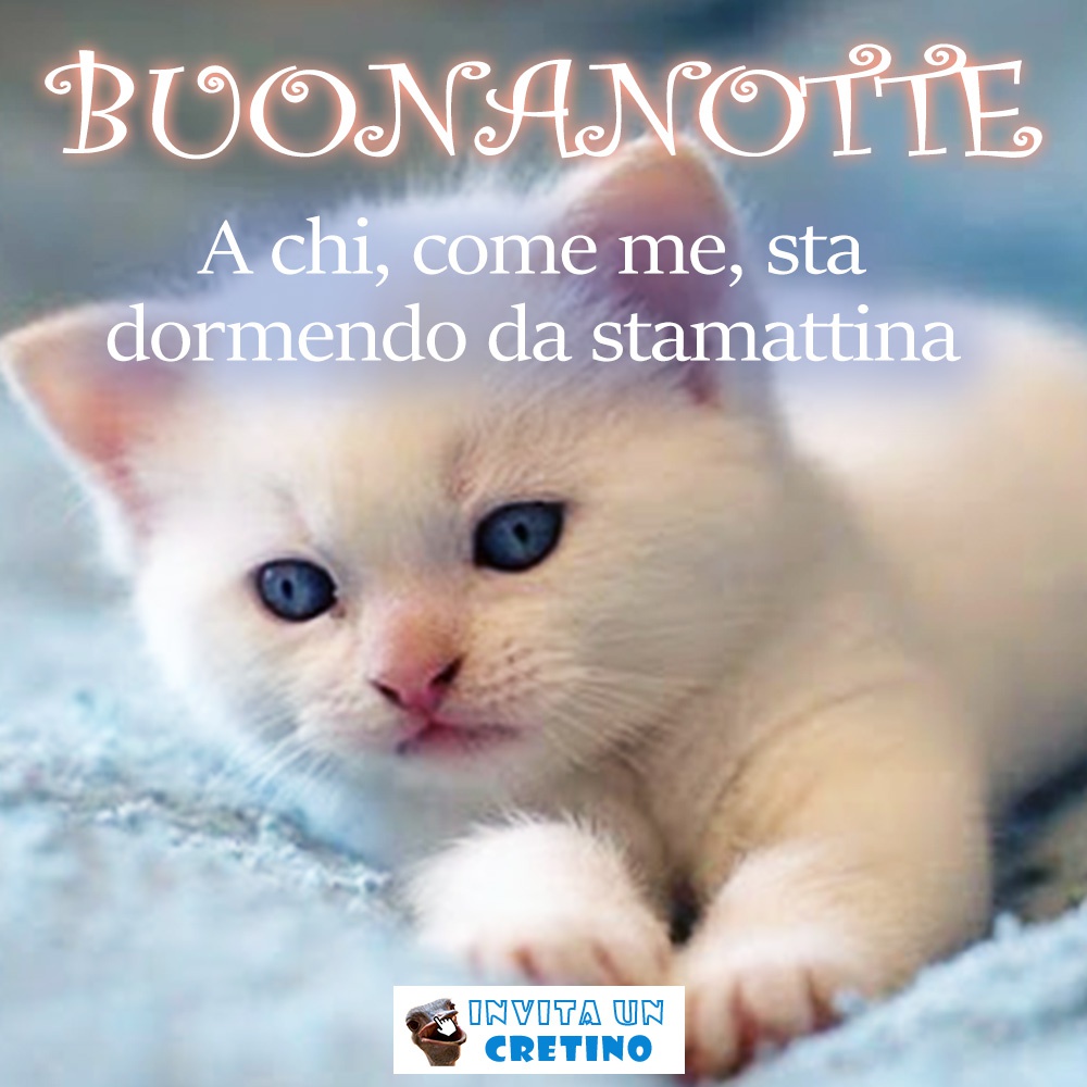 buonanotte a chi come me sta dormendo da stamattina