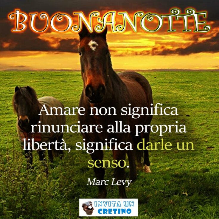 buonanotte dare un senso alla libertà