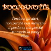 buonanotte perdona tu meriti la pace budda