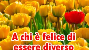 buongiorno a chi felice di essere diverso