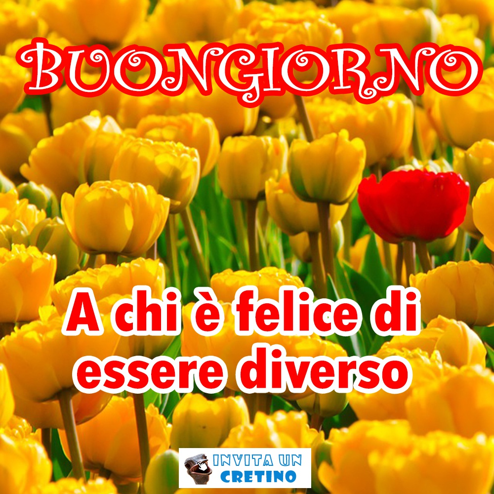 buongiorno a chi felice di essere diverso