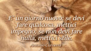 buongiorno frase antonio curnetta impegno stile