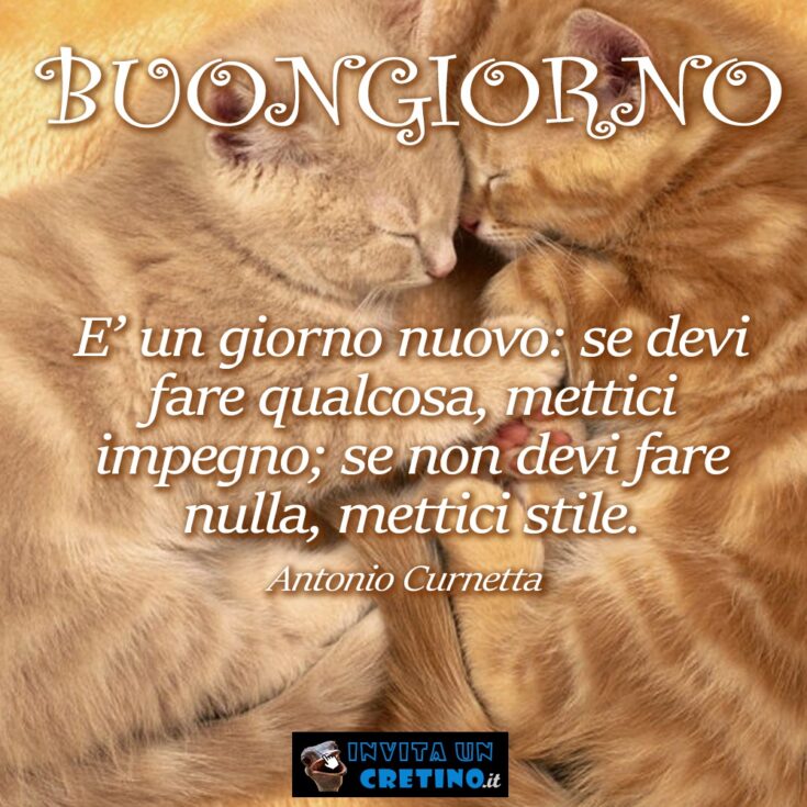 buongiorno frase antonio curnetta impegno stile