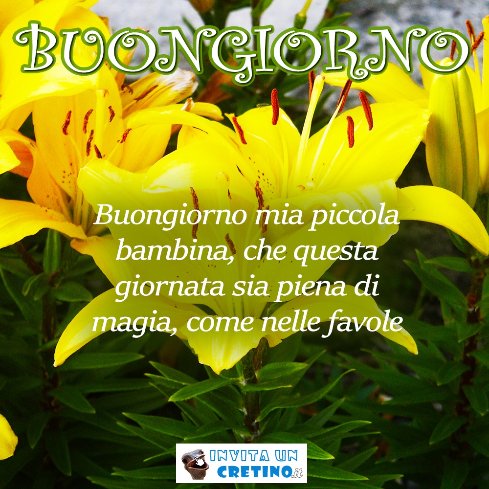 buongiorno giornata piena di magia come nelle favole belle