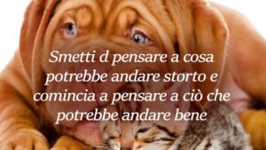 buongiorno pensa a cosa potrebbe andare bene oggi