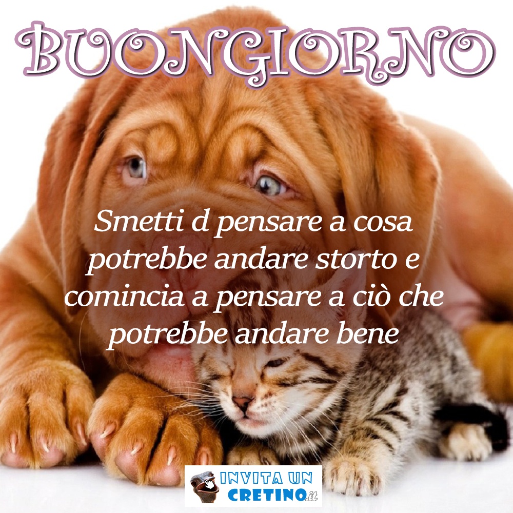 buongiorno pensa a cosa potrebbe andare bene oggi