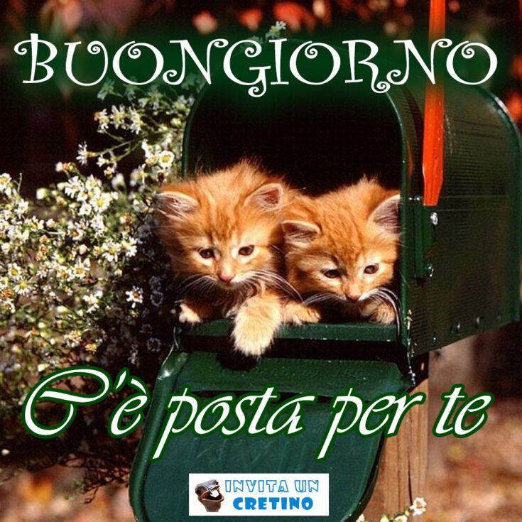 buongiorno posta per te