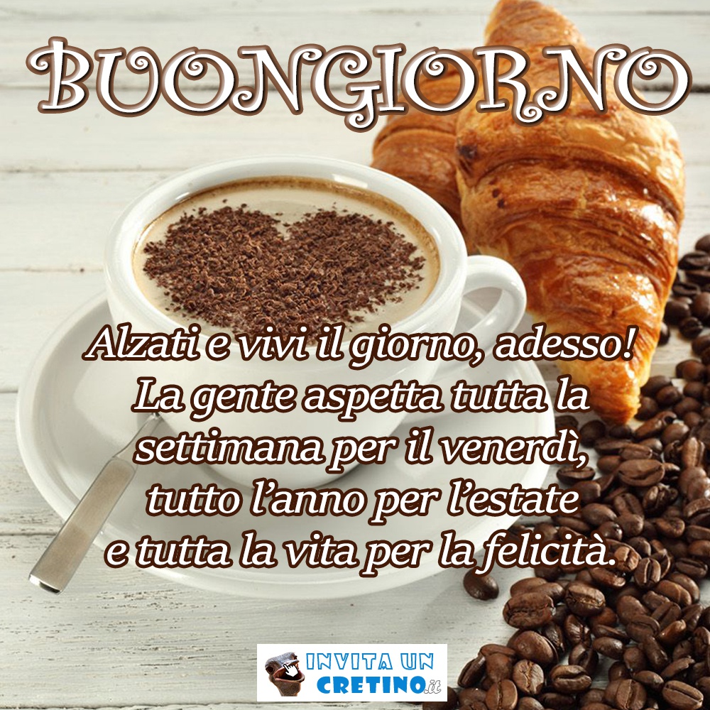 buongiorno vivi adesso non aspettare un altro giorno