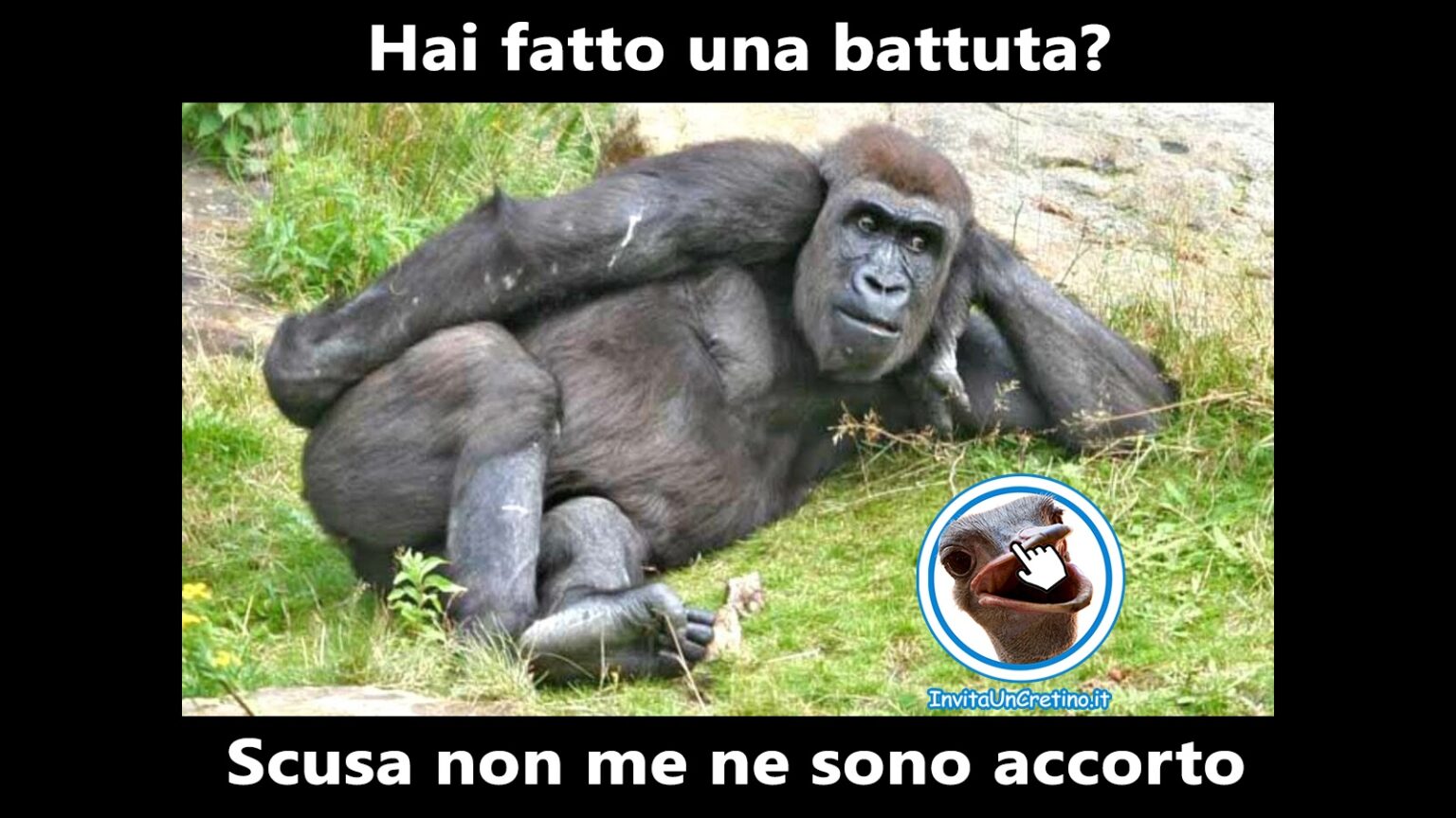 Foto Divertenti Da Scaricare Gratuitamente Invita Un Cretino