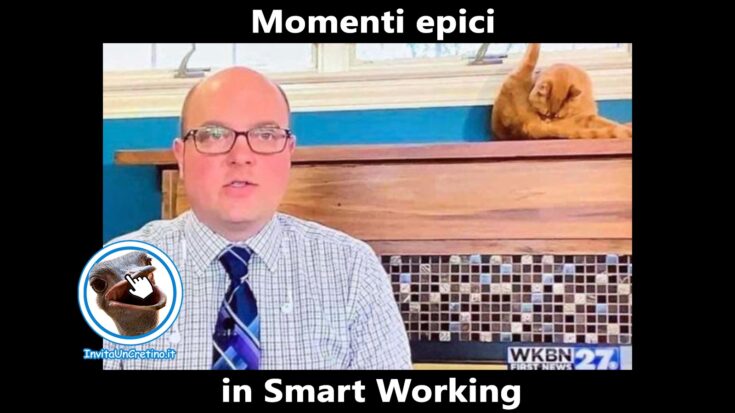 foto divertenti smart working momenti epici gatto giornalista