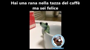 rana nella tazza del caffe felice foto divertenti