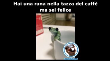 rana nella tazza del caffe felice foto divertenti