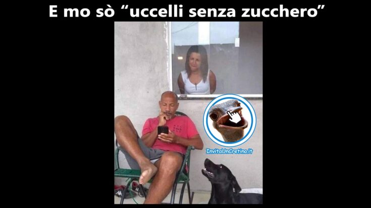 sono uccelli senza zucchero foto divertenti