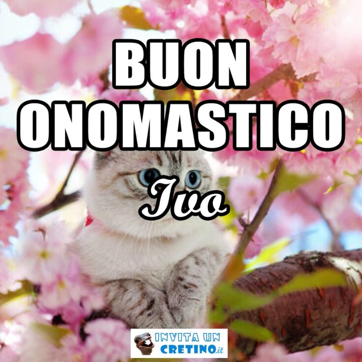 buon onomastico ivo 24 aprile