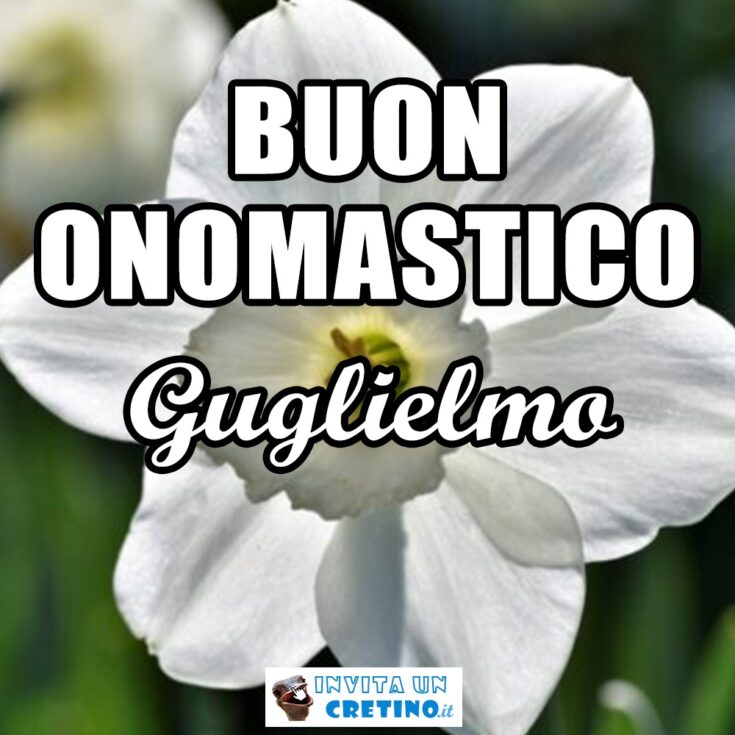 buon onomastico guglielmo 29 maggio