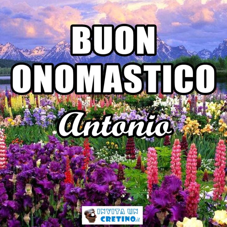 buon onomastico antonio 13 giugno