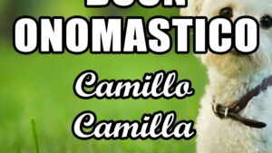 buon onomastico camillo camilla 14 luglio