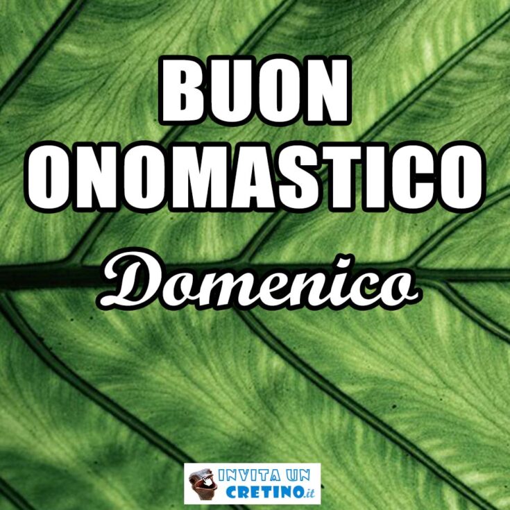 buon onomastico domenico 8 agosto