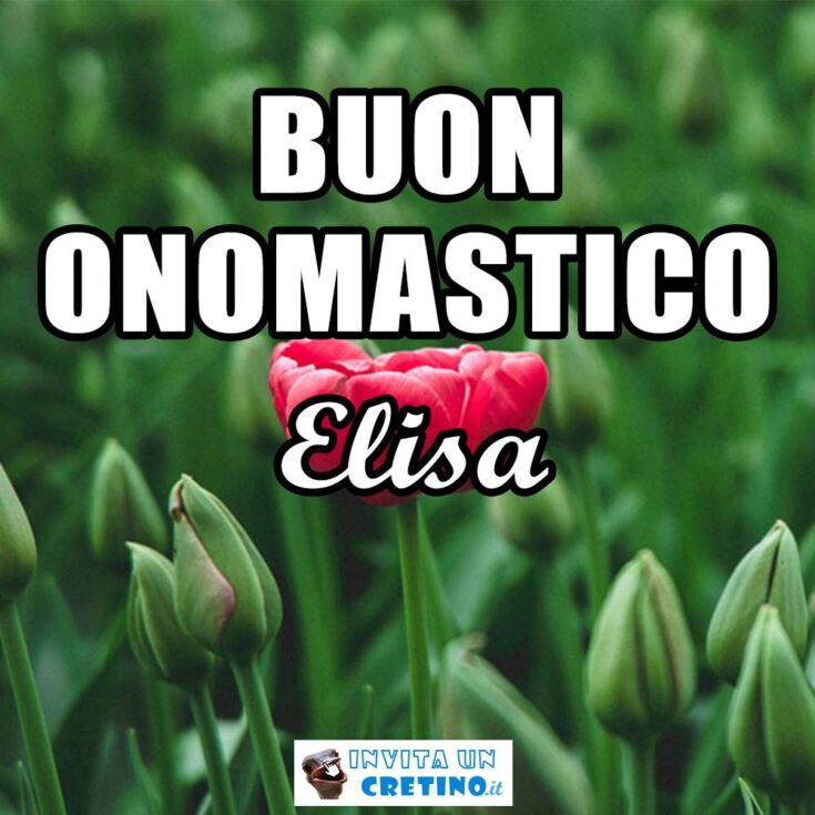 buon onomastico elisa 4 luglio