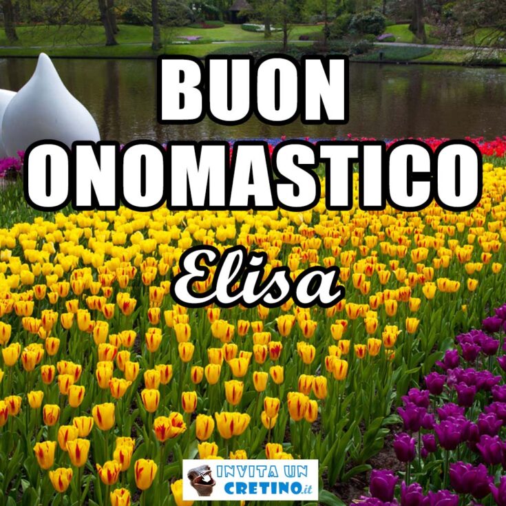 buon onomastico elisa 5 novembre