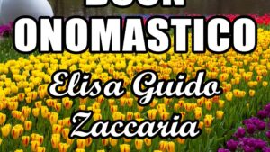 buon onomastico elisa guido zaccaria 5 novembre