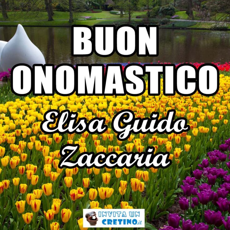 buon onomastico elisa guido zaccaria 5 novembre