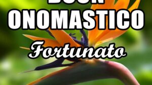 buon onomastico fortunato 12 luglio
