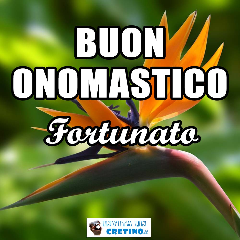 buon onomastico fortunato 12 luglio