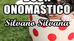 buon onomastico silvano silvana 10 luglio