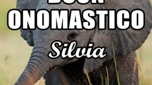 buon onomastico silvia 3 novembre