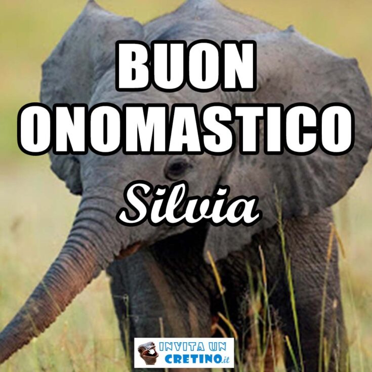 buon onomastico silvia 3 novembre