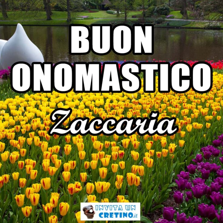 buon onomastico zaccaria 5 novembre