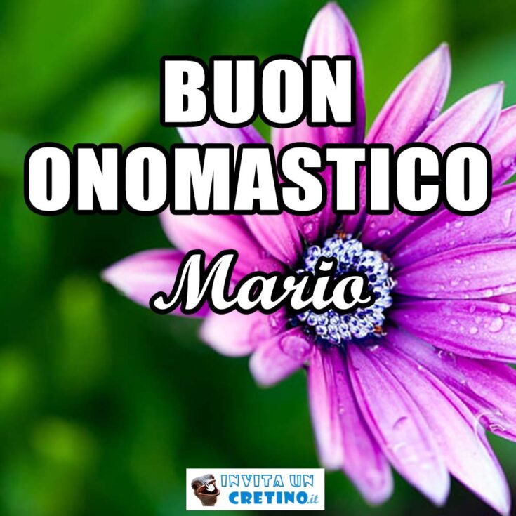 buon onomastico mario 8 settembre