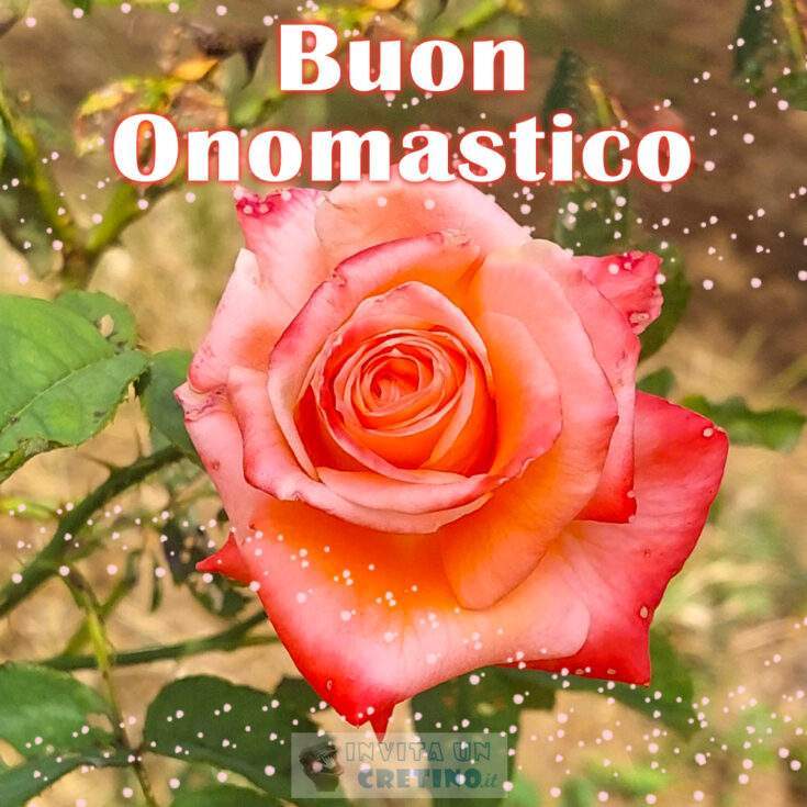 buon onomastico fiori con rosa nel campo