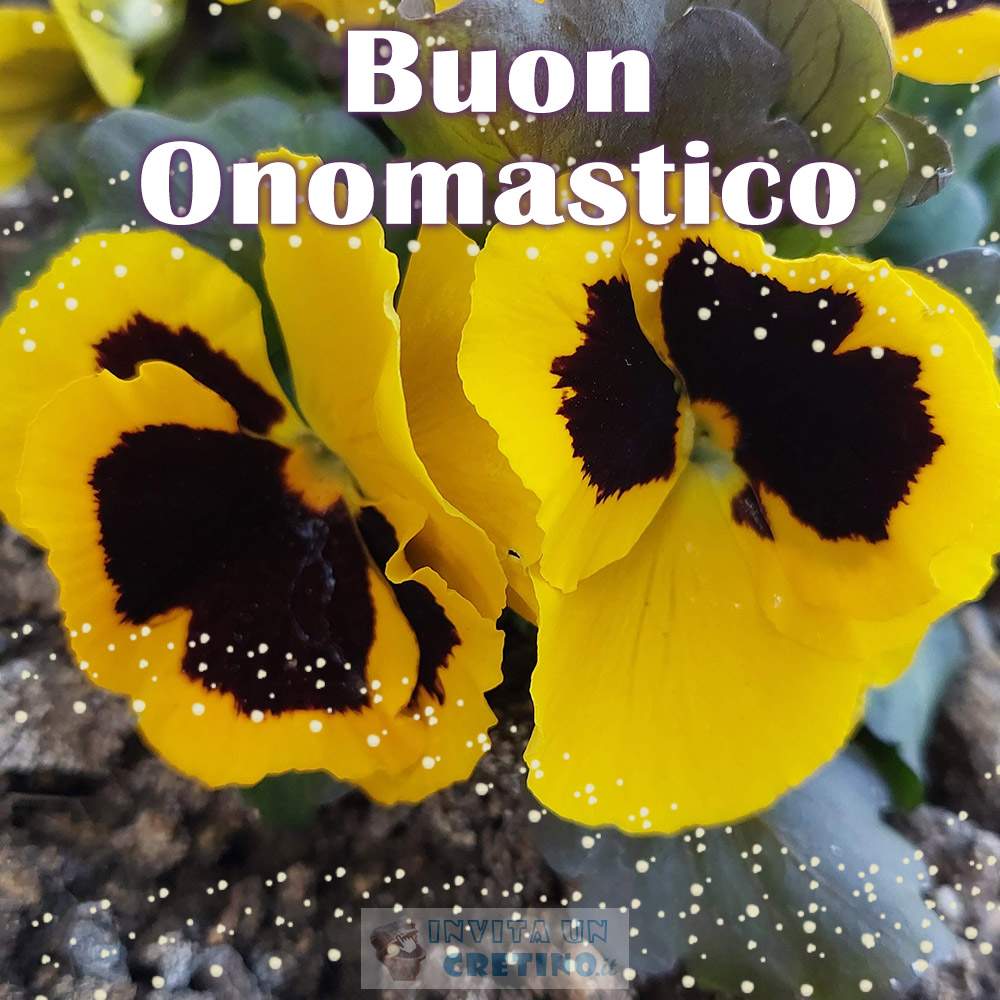 buon onomastico fiori gialli viola del pensiero