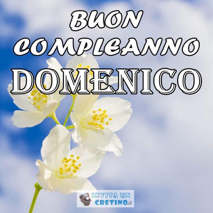 compleanno domenico 2