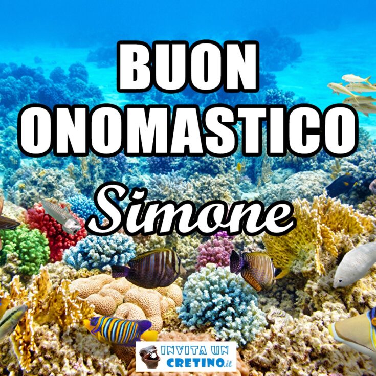 buon onomastico Simone